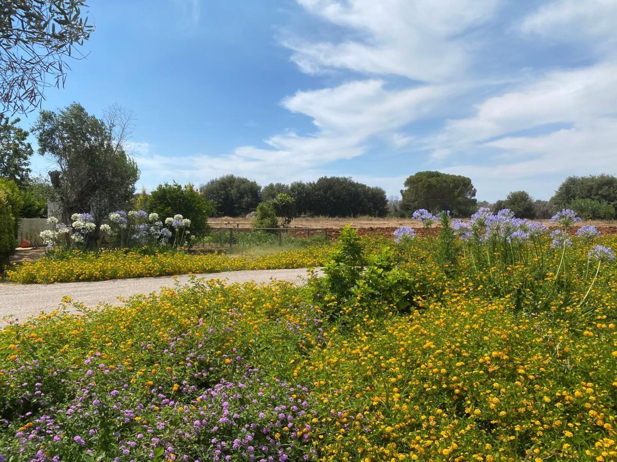 Casa Anna, Agriturismo Alla Castellana Галиполи Екстериор снимка