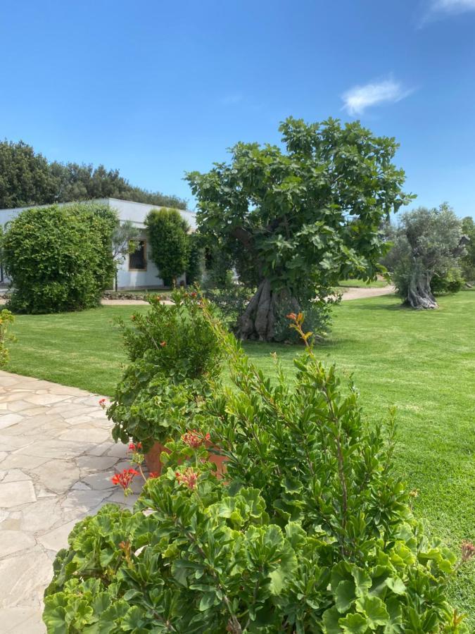 Casa Anna, Agriturismo Alla Castellana Галиполи Екстериор снимка