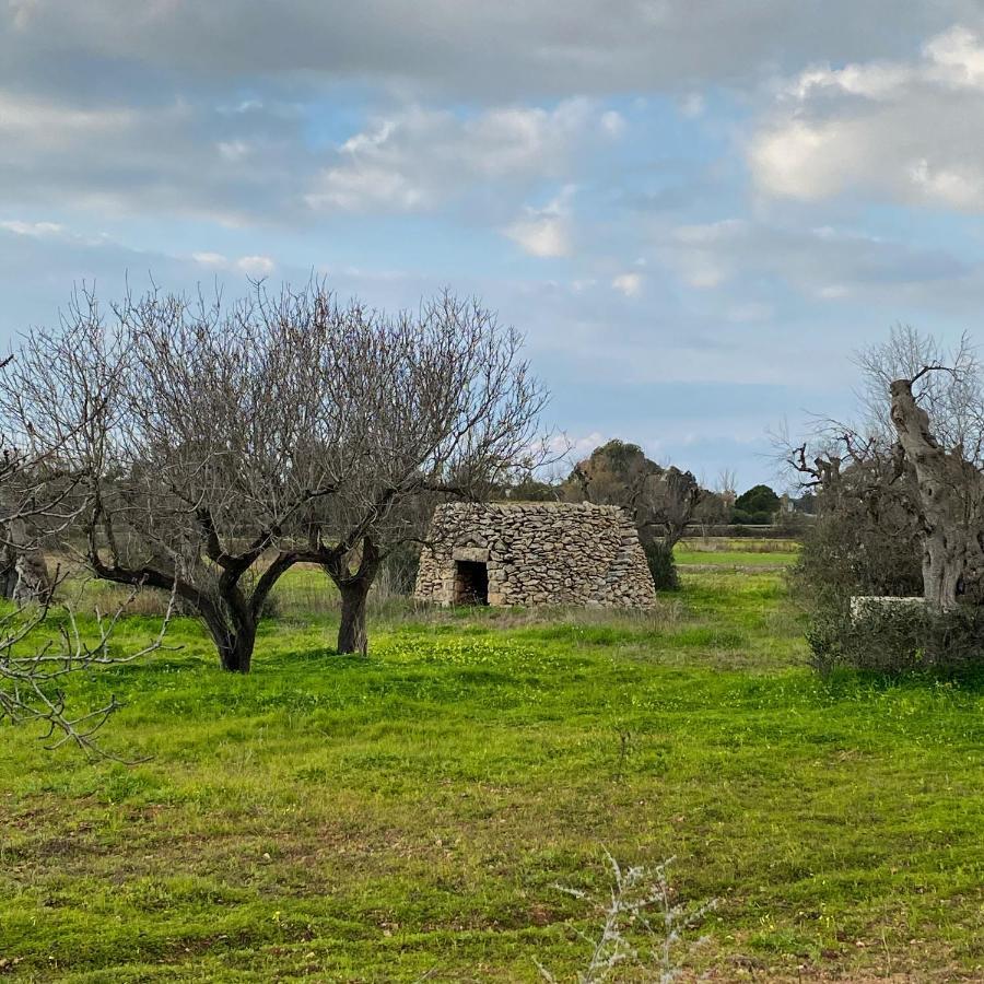 Casa Anna, Agriturismo Alla Castellana Галиполи Екстериор снимка